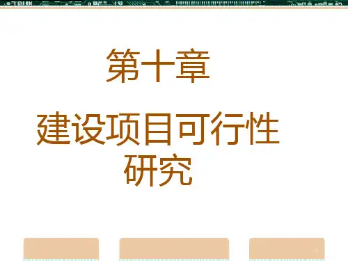 化工技术经济学chap10第十章-PPT精品文档