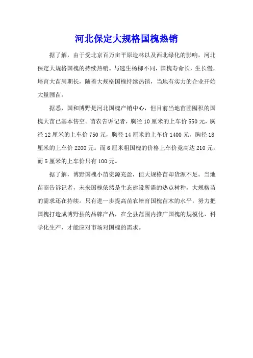 河北保定大规格国槐热销