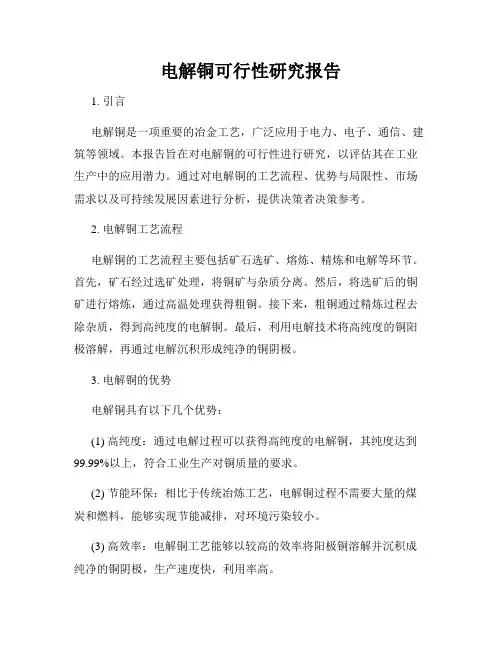 电解铜可行性研究报告