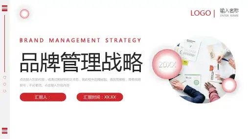 品牌管理战略规划营销推广宣讲PPT模板