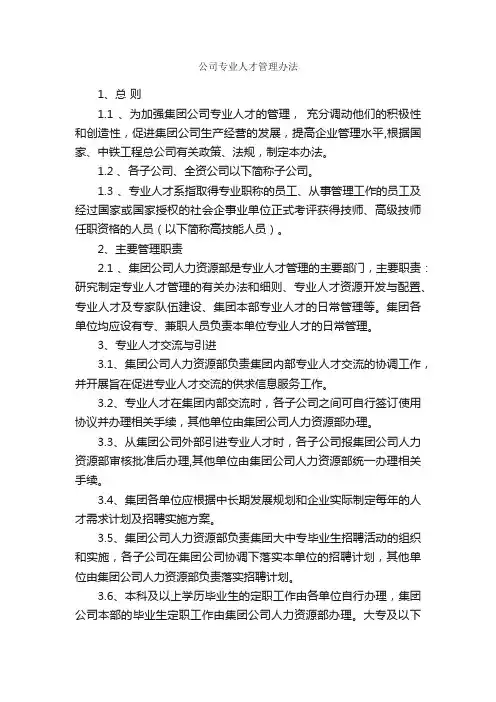 公司专业人才管理办法_规章制度_