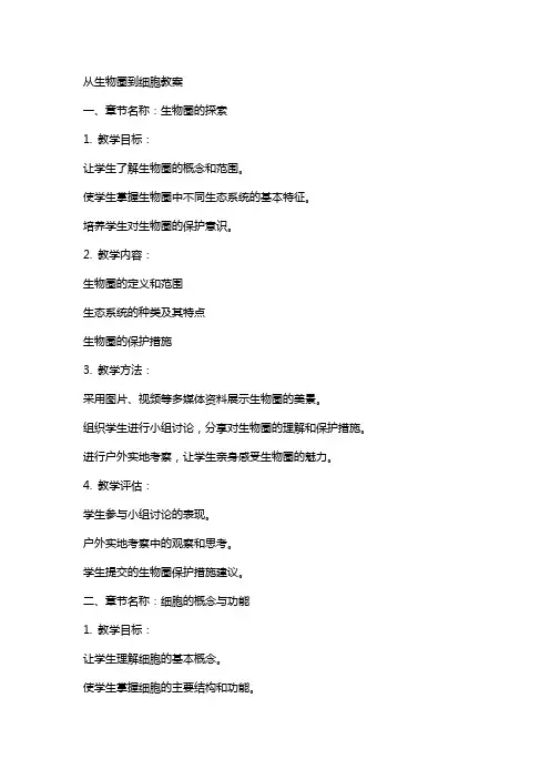 从生物圈到细胞教案
