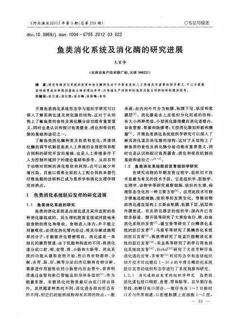 鱼类消化系统及消化酶的研究进展