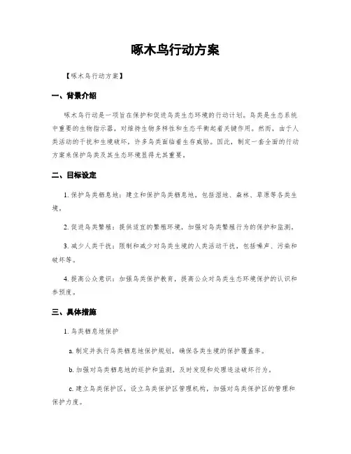 啄木鸟行动方案