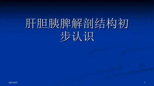 肝胆胰脾解剖结构初步认识