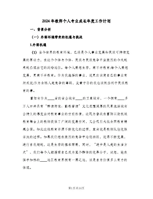 2024年教师个人专业成长年度工作计划(三篇)