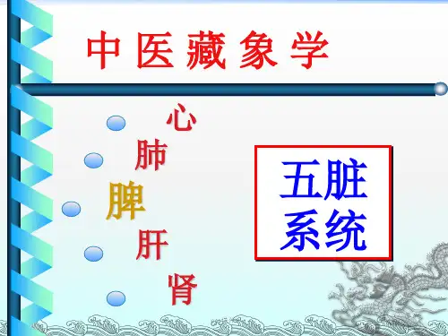 中医基础理论藏象脾ppt课件