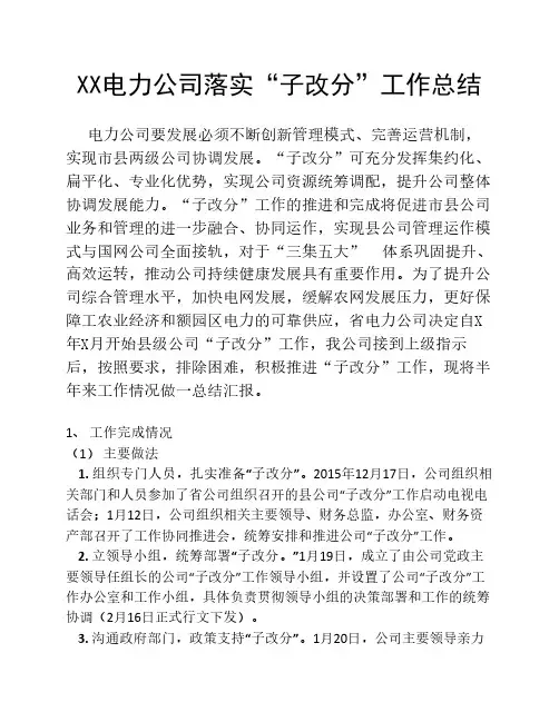 子改分工作总结