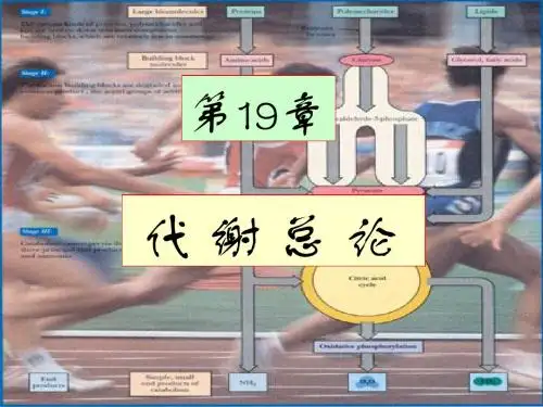 生物化学简明教程ppt  第八章代谢总论