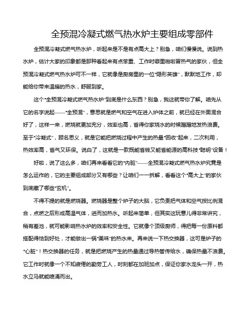 全预混冷凝式燃气热水炉主要组成零部件