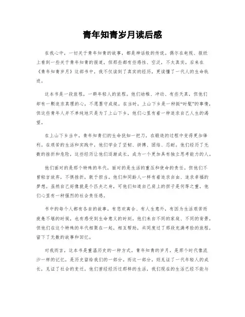 青年知青岁月读后感
