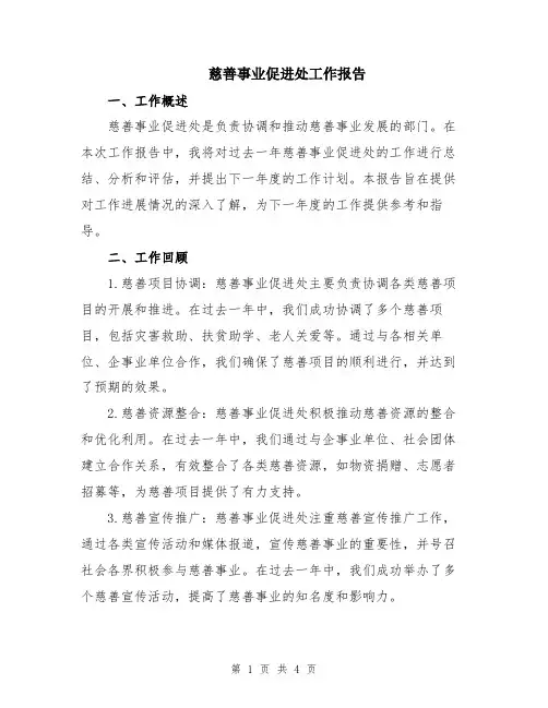 慈善事业促进处工作报告