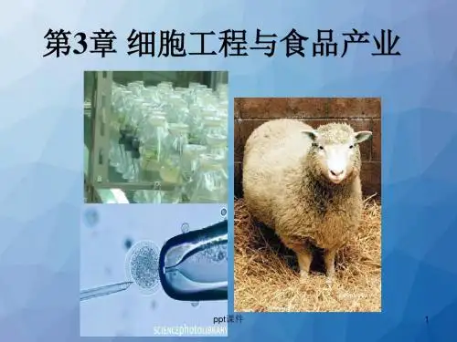 生物技术--细胞工程与食品产业  ppt课件