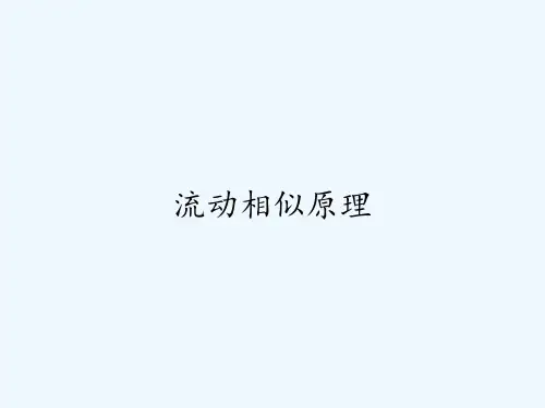流动相似原理ppt