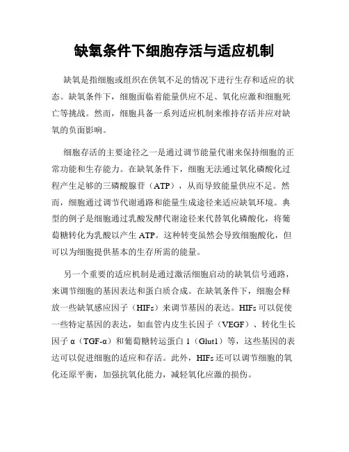 缺氧条件下细胞存活与适应机制