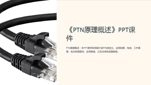 《PTN原理概述》课件