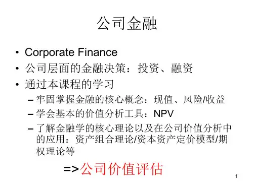 公司金融现值_PPT课件