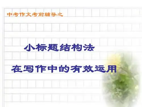 (2019版)中考语文作文指导复习课件23