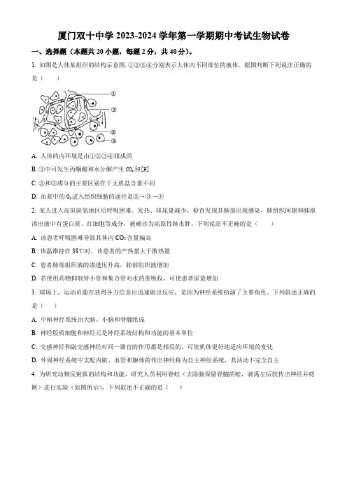 福建省厦门市双十中学2023-2024学年高二上学期期中生物试题