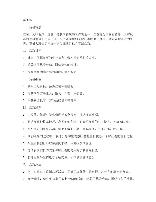 大班社会实践活动刨红薯(3篇)