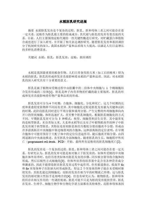 水稻胚乳研究进展