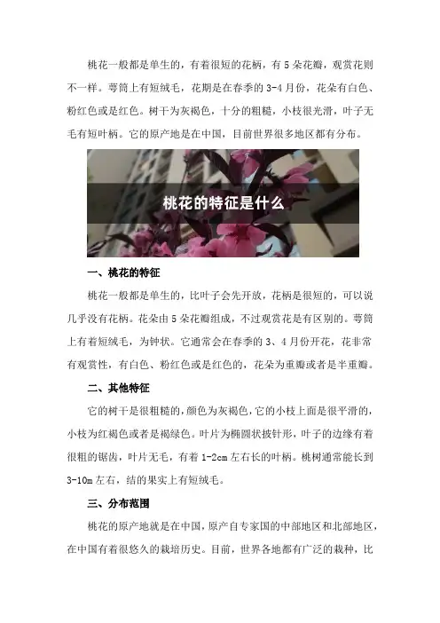 桃花的特征是什么