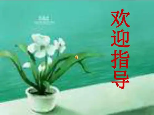六年级数学含有百分数的复式统计表