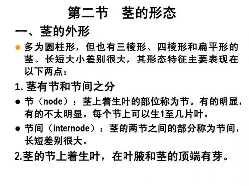 第五章  茎
