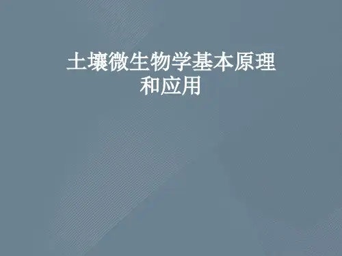 土壤微生物学基本原理和应用