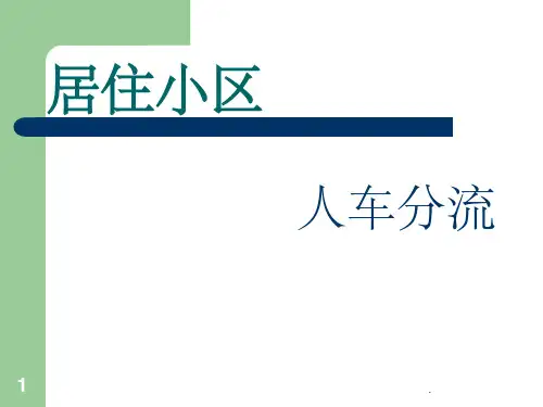 《人车分流案例》PPT课件