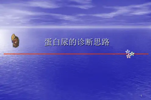 (推荐课件)蛋白尿诊断思路PPT幻灯片