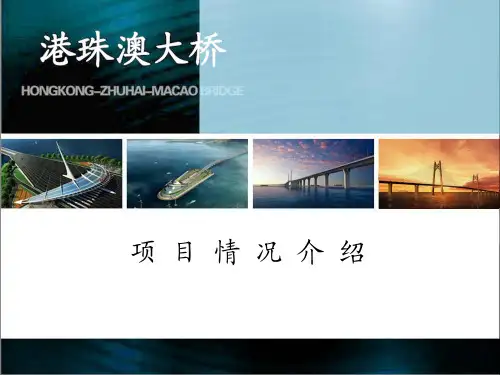 港珠澳跨海大桥项目总体介绍(技术)