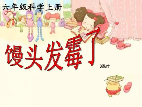六年级上《1.3馒头发霉了》