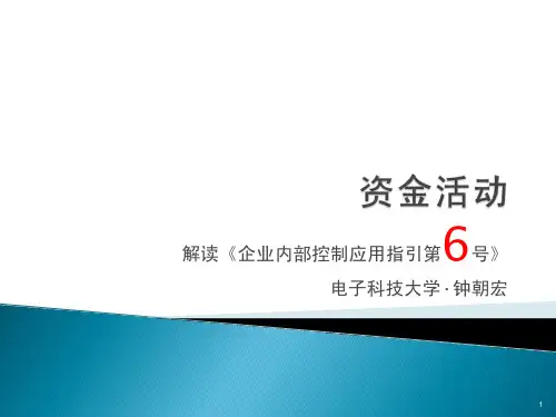 内部控制应用指引第6号《资金活动》讲解
