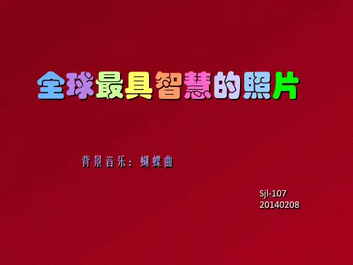 全球最具智慧的一张照片