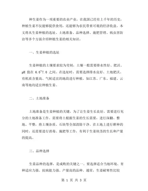 种生姜作文范文