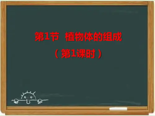 苏科版七年级生物下册《植物体的组成》第1课时课件-新版