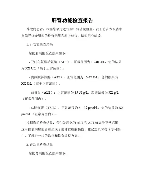 肝肾功能检查报告