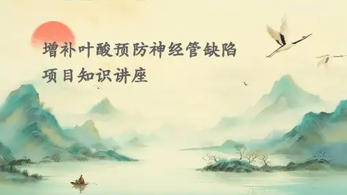 增补叶酸预防神经管缺陷项目知识讲座