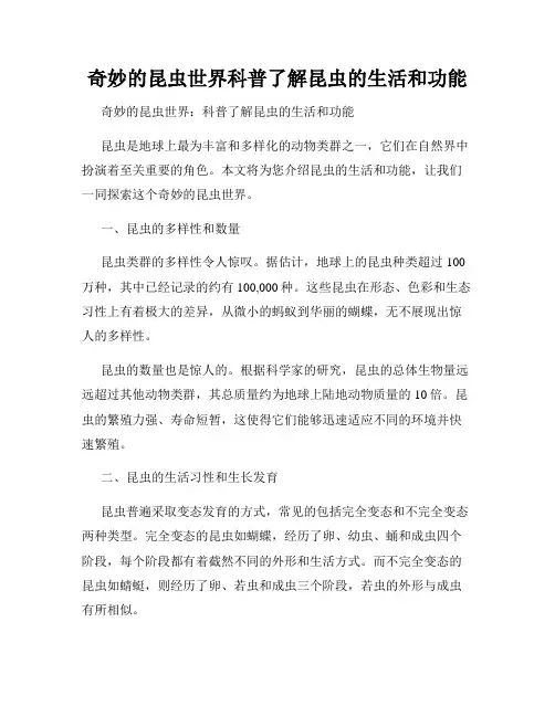 奇妙的昆虫世界科普了解昆虫的生活和功能