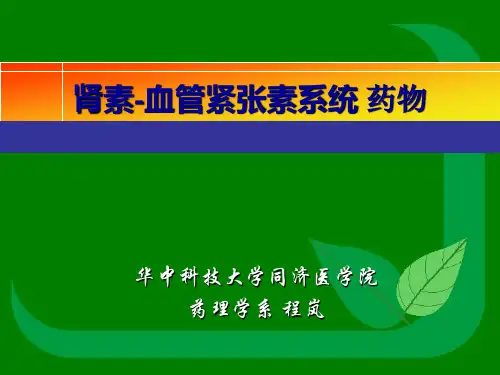 肾素-血管紧张素系统 药物