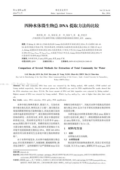 四种水体微生物总DNA提取方法的比较
