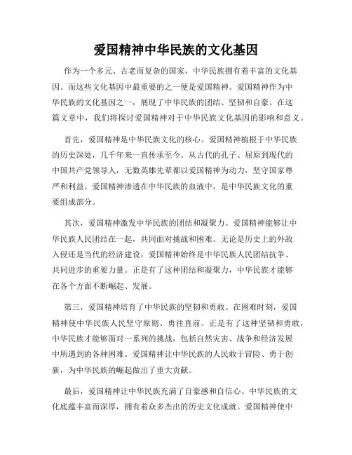 爱国精神中华民族的文化基因