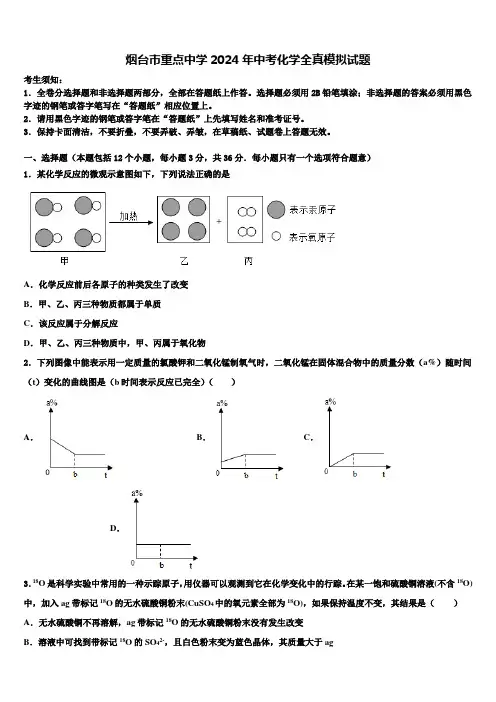 烟台市重点中学2024年中考化学全真模拟试题含解析