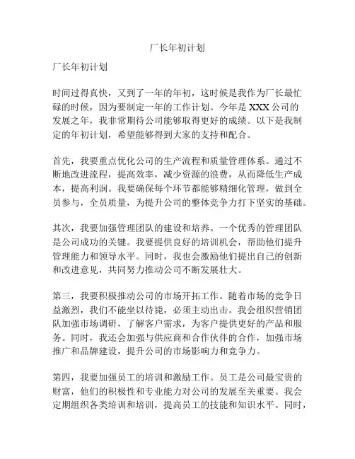 厂长年初计划