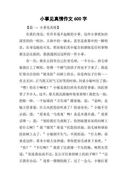 小事见真情作文600字
