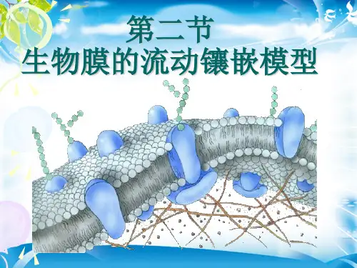 4.2生物膜的流动镶嵌模型(共46张PPT)[优秀课件资料]