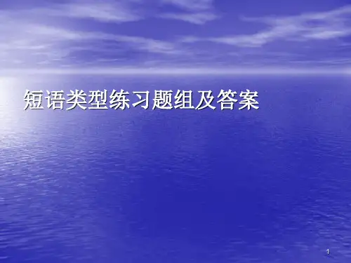 短语类型练习题组及答案ppt课件