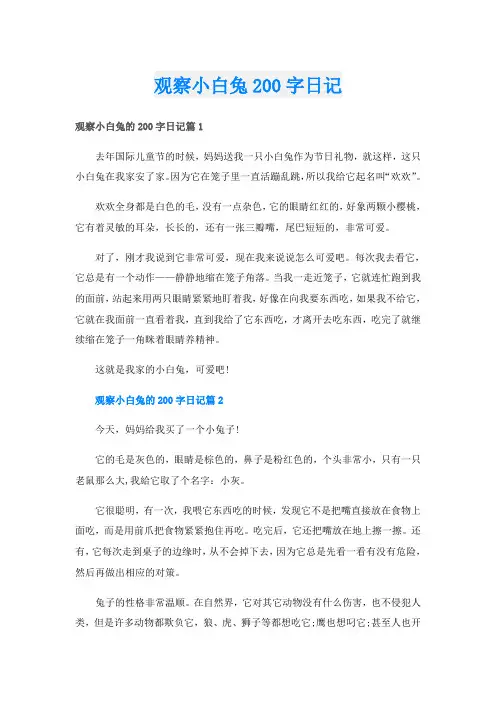 观察小白兔200字日记