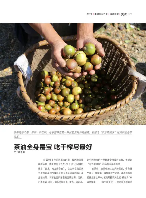 茶油全身是宝吃干榨尽最好